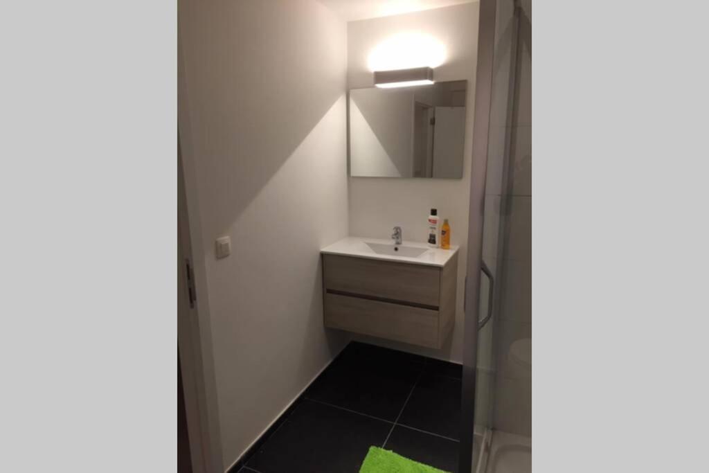 Appartement Duplex Pour 3-4 Personnes A Ciney Zewnętrze zdjęcie